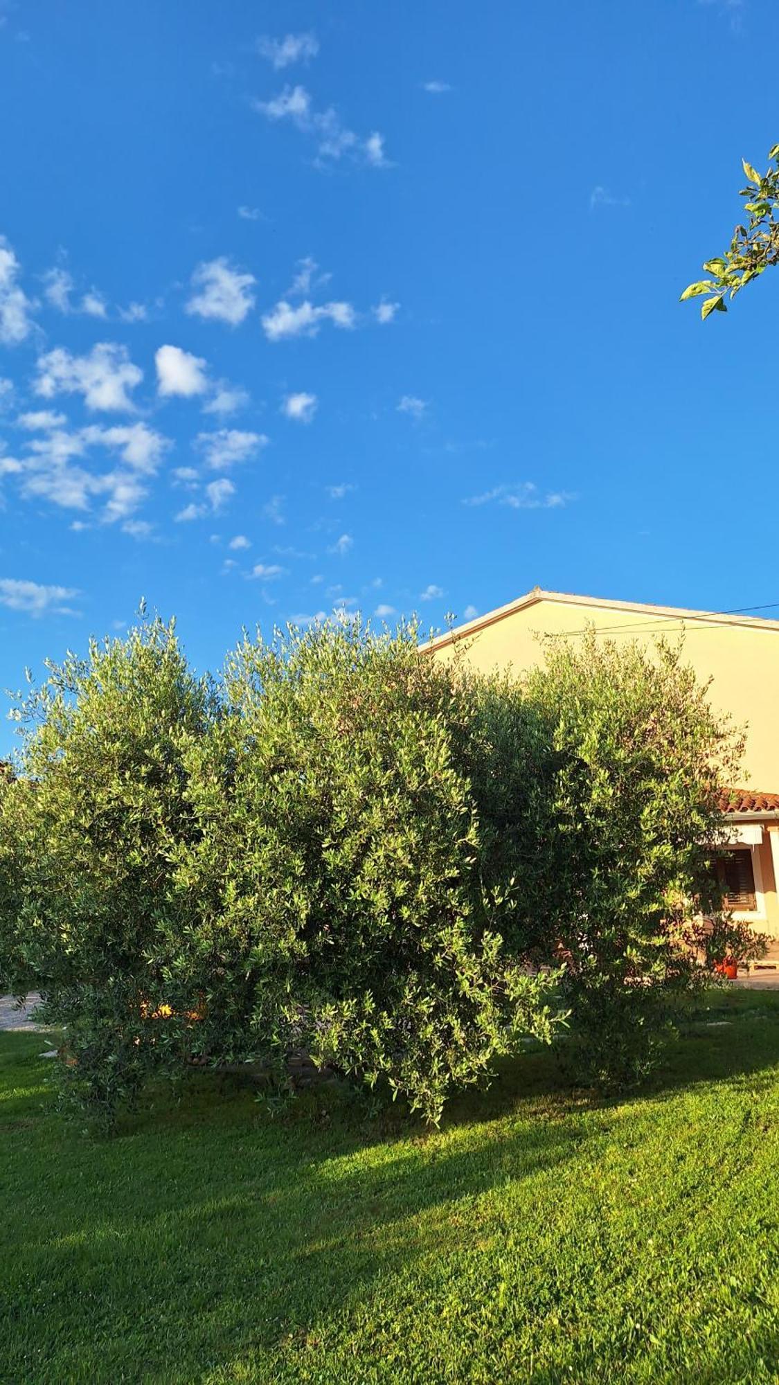 Apartman Doli Nedeščina Exterior foto